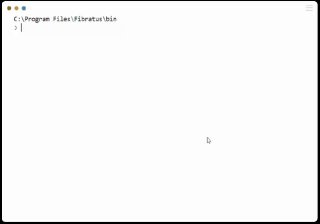 Скриншот консоли Windows с текстовым окном, показывающий путь C:\Program Files\fibratus\bin — пример запуска Fibratus