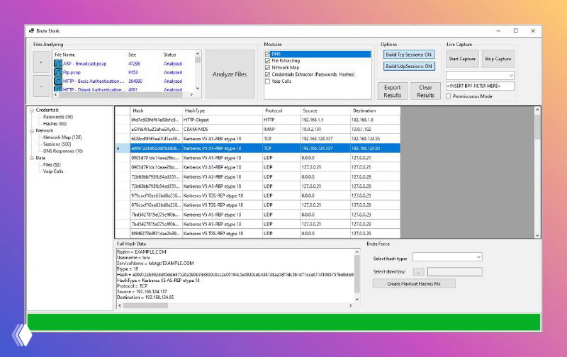 BruteShark — инструмент сетевого криминалистического анализа