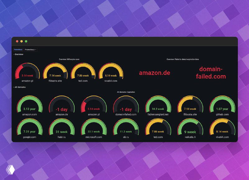 Domain Exporter — экспортёр срока доменов