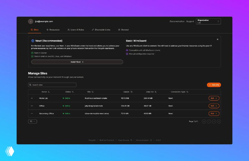 Pangolin — туннелированный обратный прокси