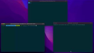 Скриншот: три терминальных окна в тёмной теме на фоне macOS — пример окружения для тестирования и отладки Wa-tunnel