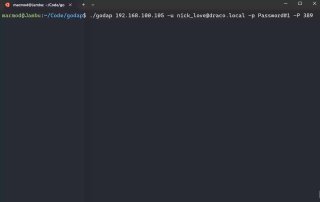 Скриншот терминала с запуском godap: командная строка и пример подключения к LDAP-серверу, демонстрация TUI-интерфейса и параметров авторизации.
