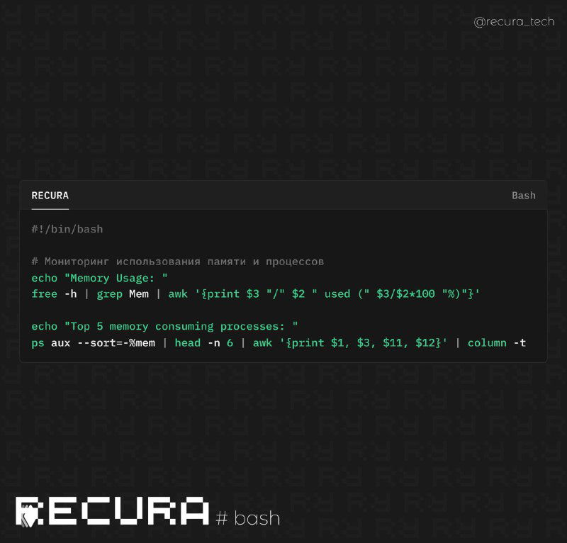 Мониторинг памяти и процессов в Bash