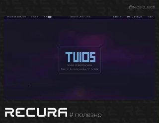 Скриншот интерфейса TUIOS: центральный логотип TUIOS на тёмном фоне, строка меню сверху и водяной знак RECURA внизу