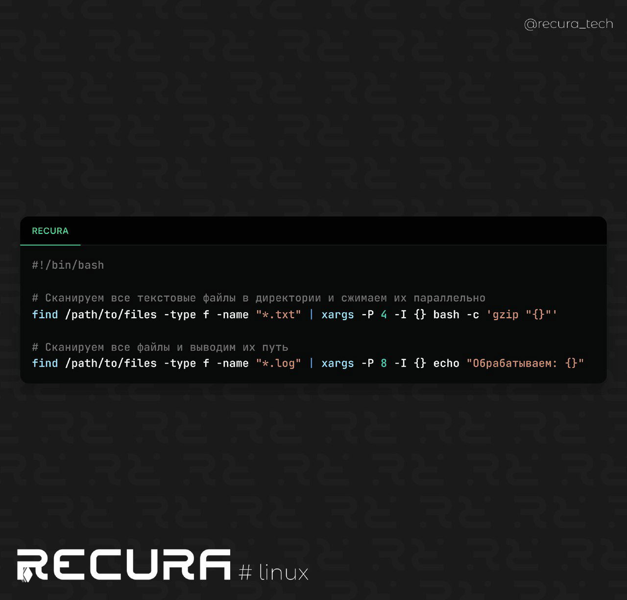 Использование xargs для параллельной обработки в Linux