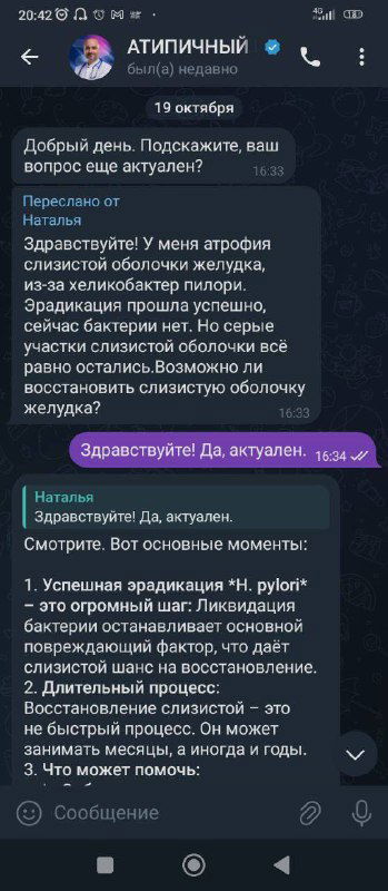 Скриншот диалога с приветствием и подтверждением доступности услуг — фрагменты переписки показывают типичную мошенническую коммуникацию.