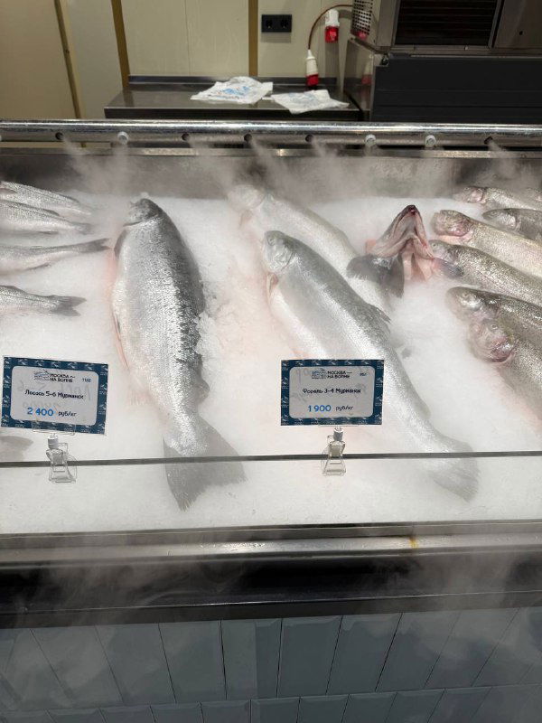 Так выглядит современная рыбалка в большом городе