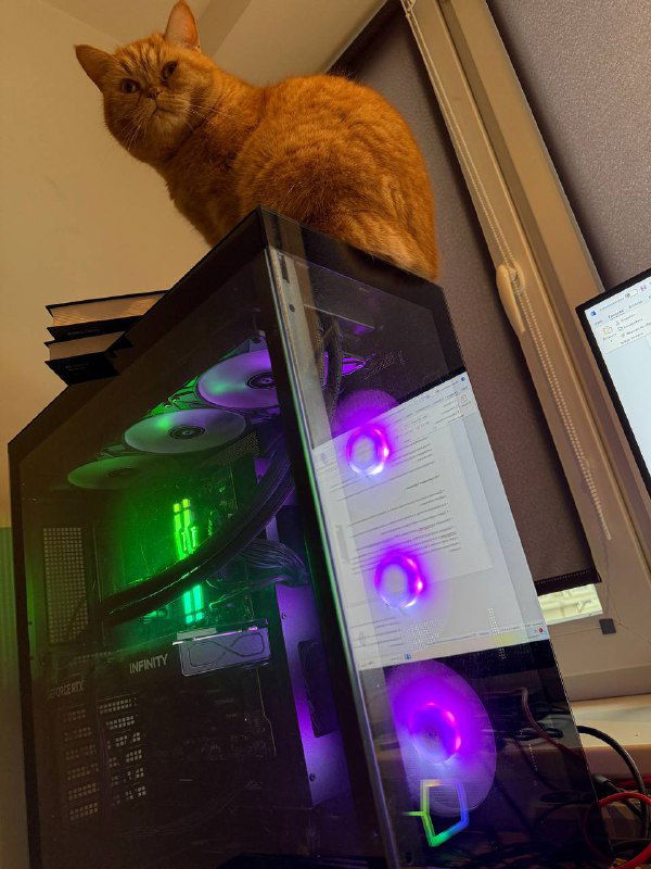 Кошка как соавтор при изучении перистальтики