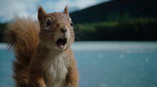 Крупный план удивлённой белки на фоне озера — эмоциональный стилл, демонстрирующий качество детализации мордочки и окружения генеративной модели.