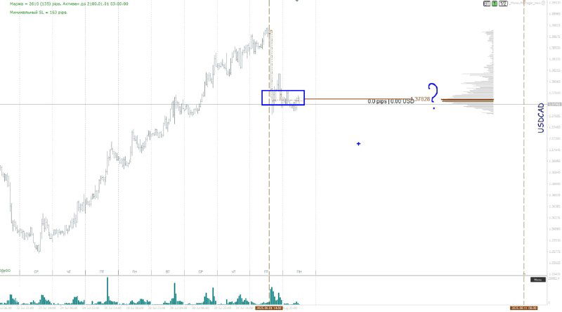 Длинный график с отмеченным уровнем интереса и пустой областью справа, вопросительные метки указывают на неопределённость дальнейшей структуры.