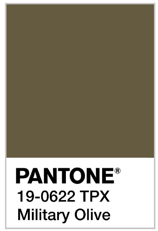 Плашка Pantone с пометкой Military Olive (19‑0622 TPX) — визуальная ссылка на классический милитари‑оттенок хаки и профессиональную классификацию цвета.