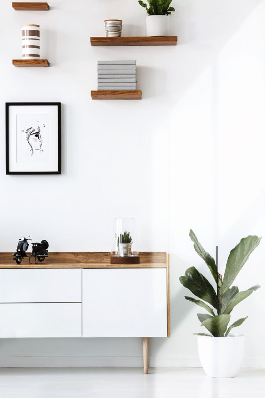 Уютный фрагмент интерьера: полки с книгами и растением на светлом фоне, баланс деталей и свободного пространства