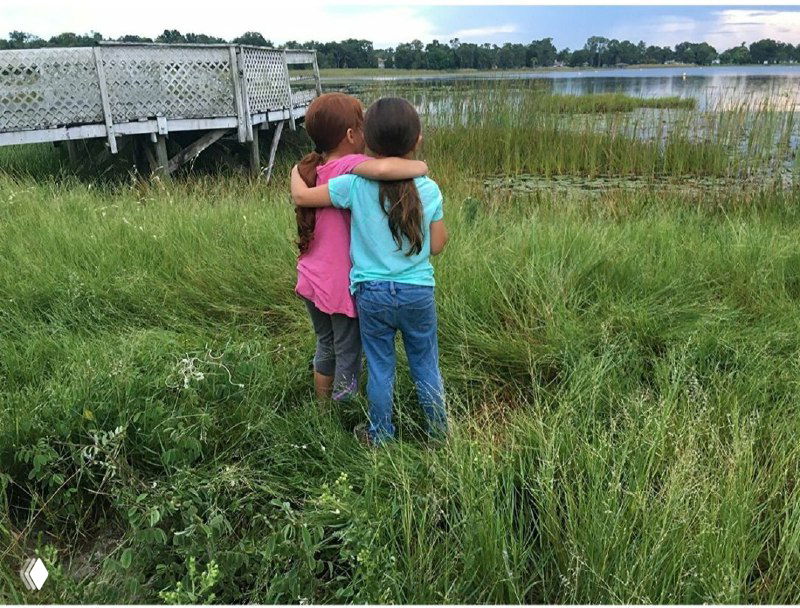 Проект Флорида (2017) — рецензия о живости