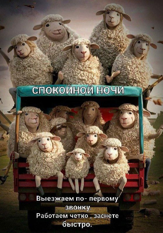 Про сон и техники релаксации 🌿