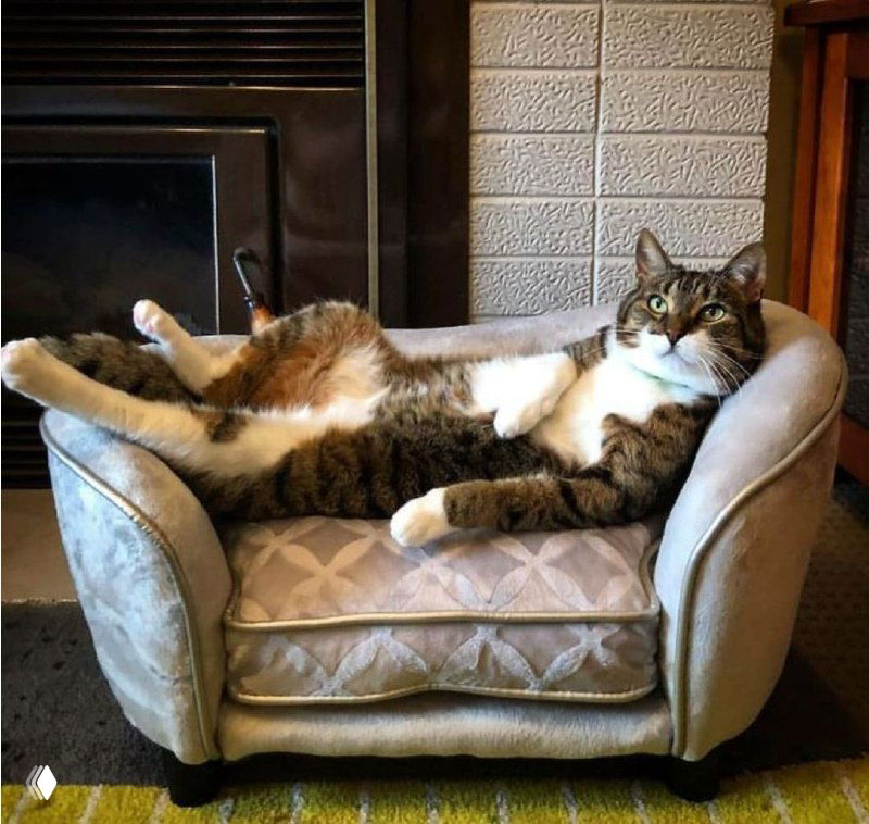 Почему релаксацию важно практиковать и днём