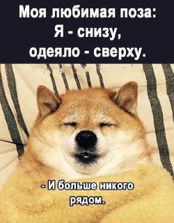 Индекс эффективности сна