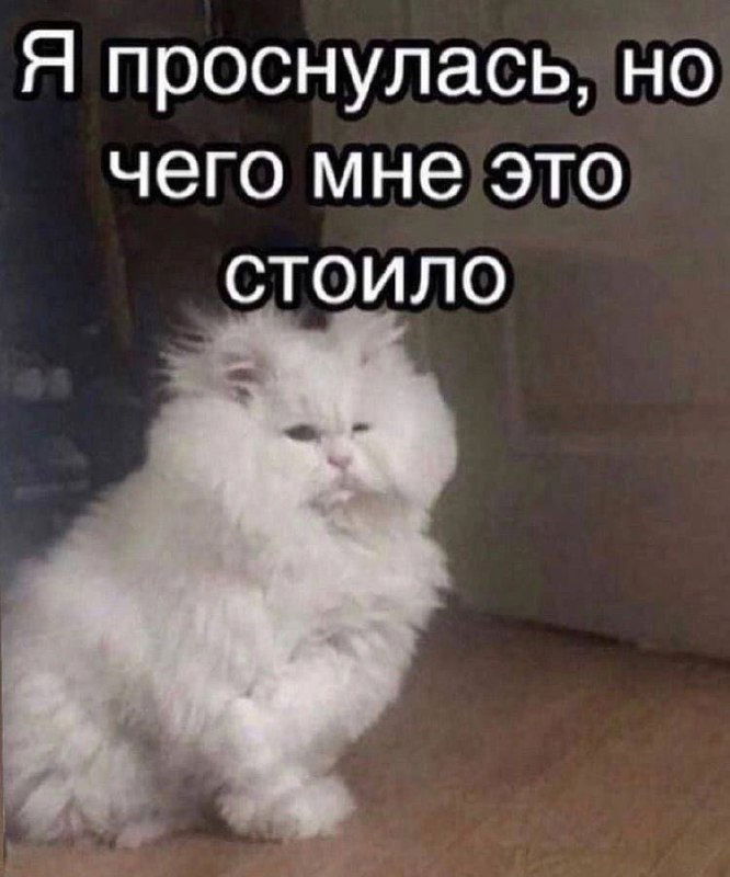 Дневная сонливость как внутреннее несогласие