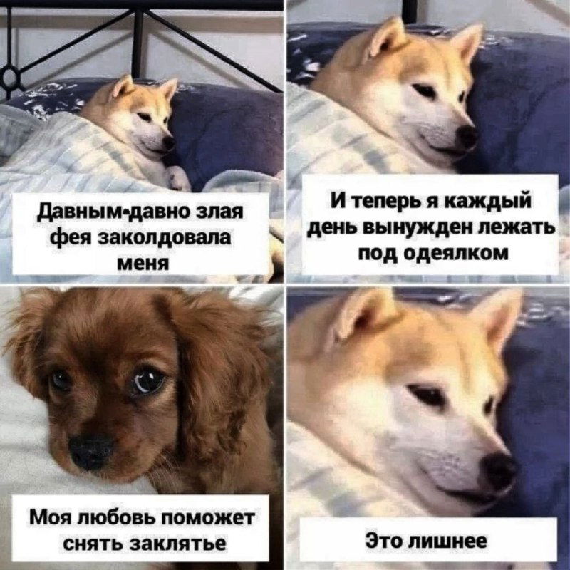 Социальный джетлаг - тихий вор ночного сна.