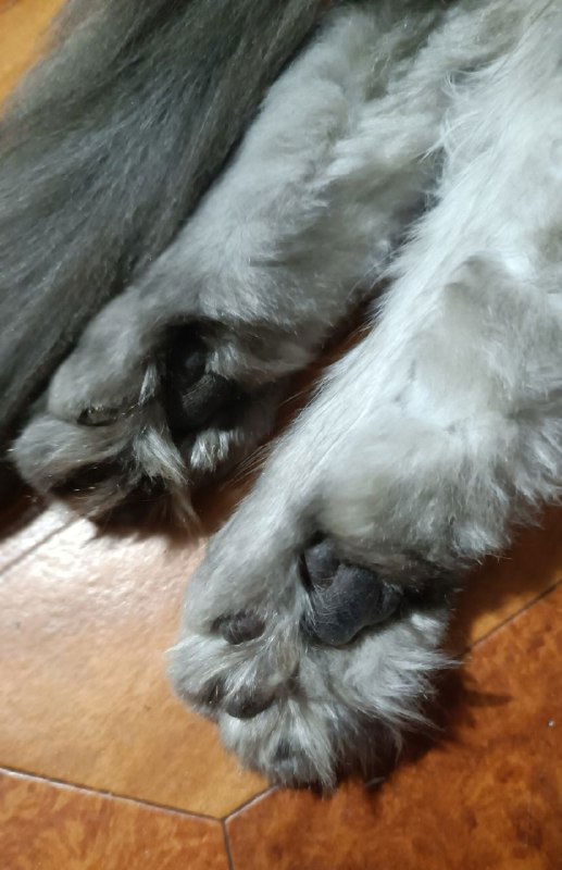 Природа человеческих страхов: почему мы боимся?