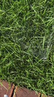 Крупный план рулонного газона с брызгами воды от полива и фрагментом деревянной террасы — зелёная трава после укладки и полива, готовая к летнему уходу.