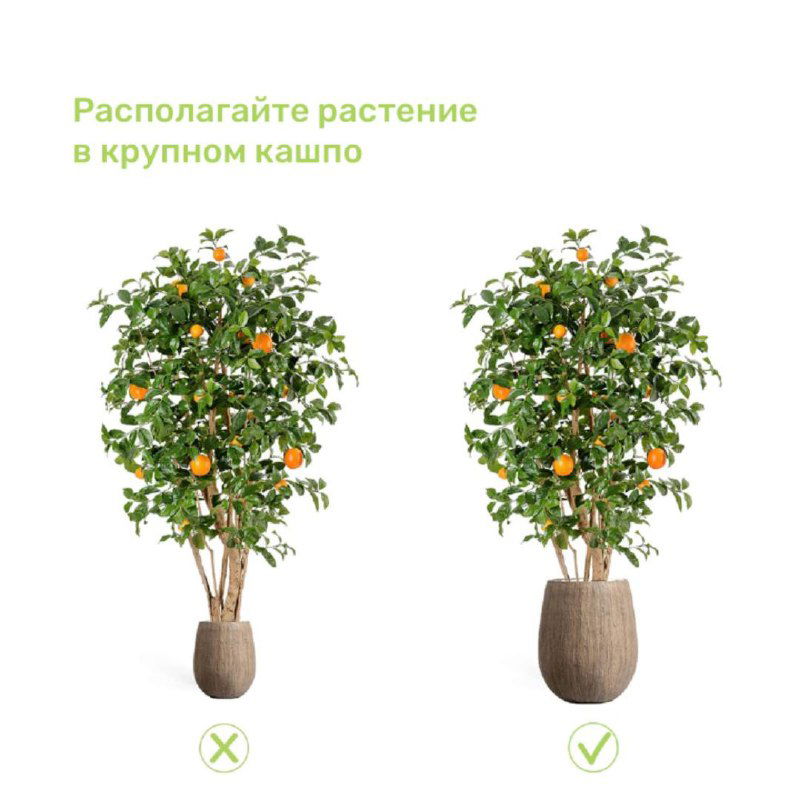 Две искусственные деревца в кашпо разных размеров на белом фоне; демонстрация правильного выбора крупного кашпо и пропорций