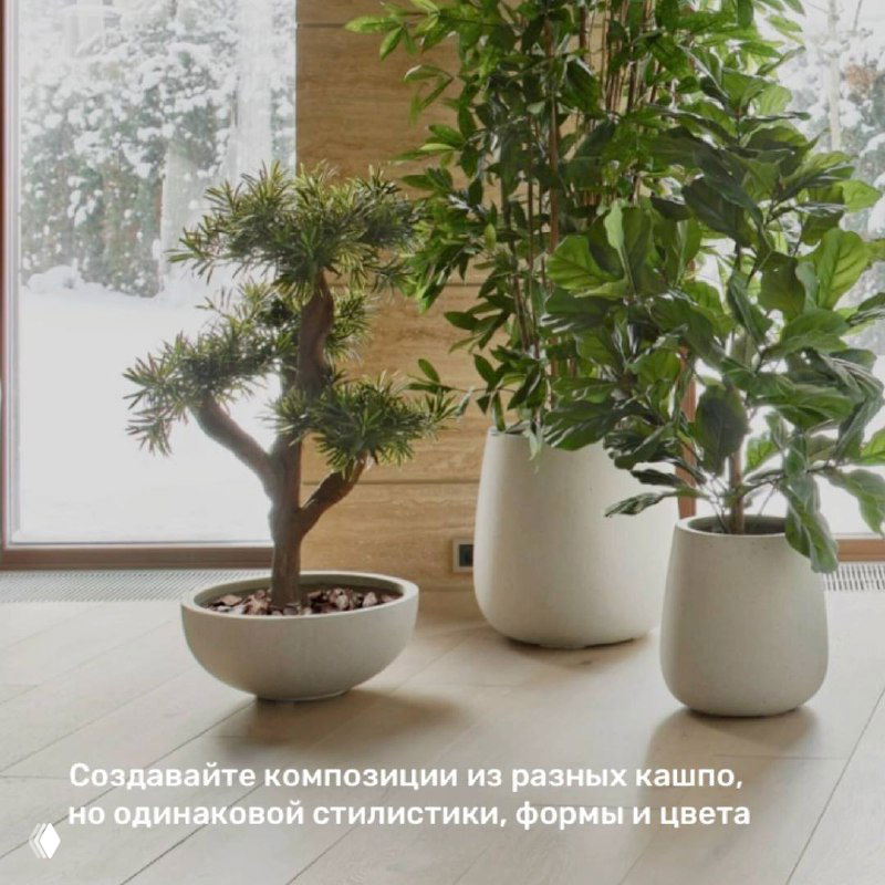 Композиция из напольных кашпо разной формы и размеров у окна; пример гармонии по стилю и цвету для интерьера