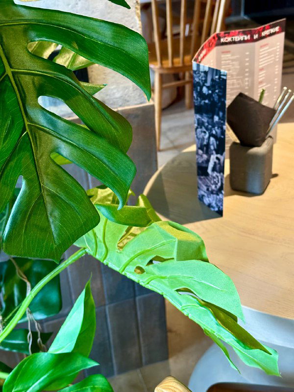 Искусственные растения в ресторане «Твиани»