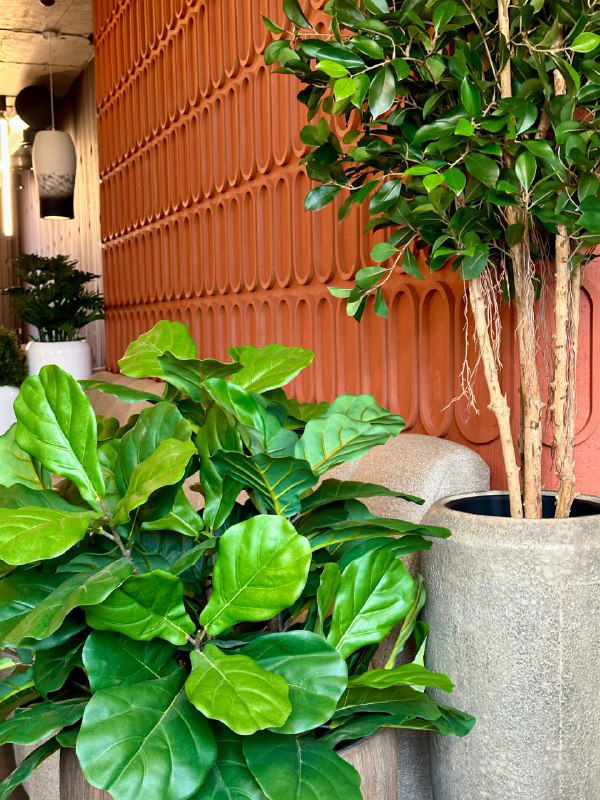 Группа искусственных растений у облицованной декоративной стены: фикус и пальмы в больших горшках на фоне рельефной стены ресторана.