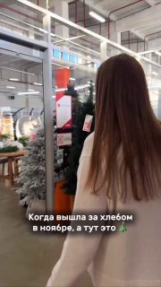 Внутренний вид ЛетоМаркет: покупательница сзади рассматривает отдел с ёлками и праздничными товарами, видно оформление и ценники магазина.