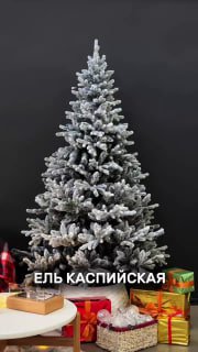 Заснеженная искусственная ель на тёмном фоне, крупный план модели «Каспийская», подарки у основания, демонстрация без игрушек.
