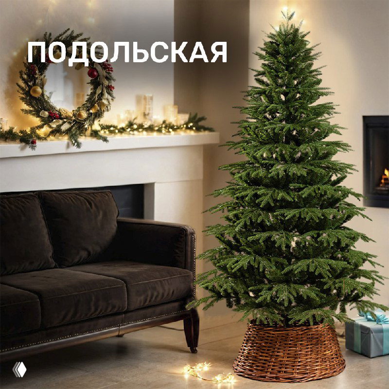 Ёлка «Подольская» с характерными веточками, повторяющими лапку живой ёлки, высокая и аккуратная, подходит для классического оформления дома
