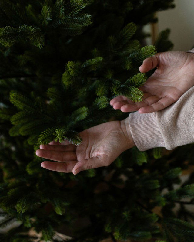 Осталась всего неделя ❗️