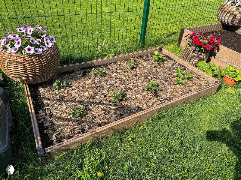 Грядка из ДПК с посаженными саженцами и мульчированной почвой, рядом видна вторая грядка и зелёный газон.