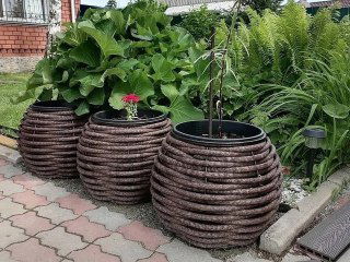 Крупные плетёные кашпо из полимерной лозы на тротуаре у дома, с цветами и молодыми растениями на фоне декоративных растений и забора.