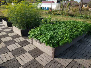 Мифы о ДПК-грядках