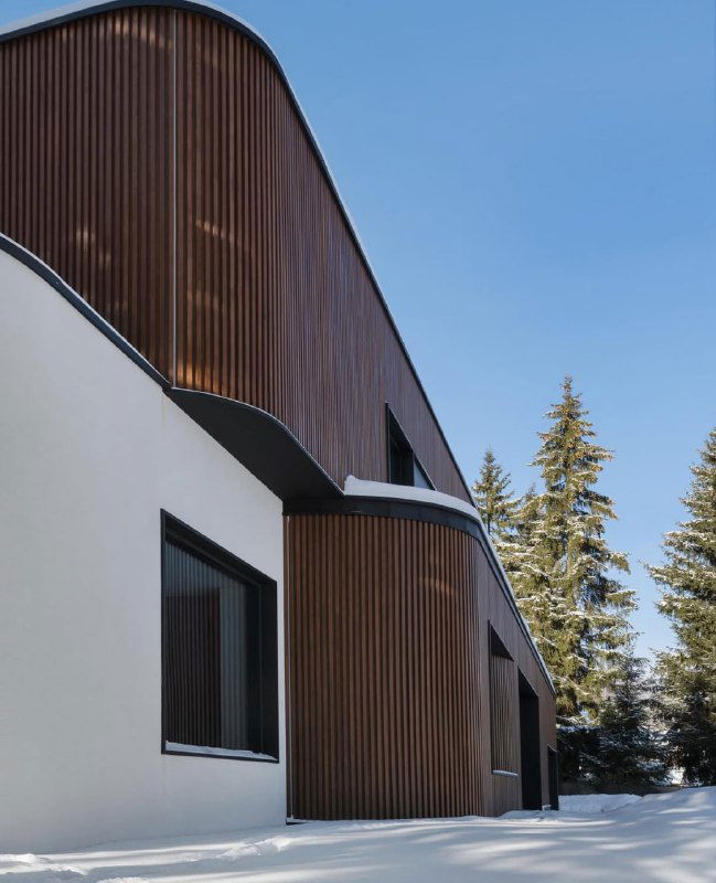 Угловой фрагмент фасада с брусковыми панелями ДПК и контрастной белой штукатуркой, плавные линии и хвойные деревья на дальнем плане.