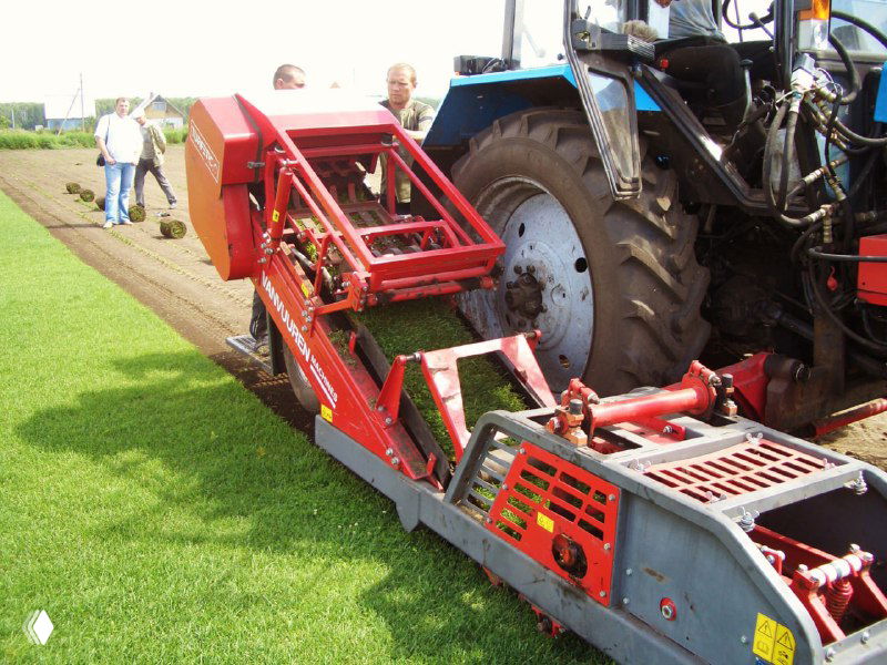 Планируете рулонный газон в этом сезоне?