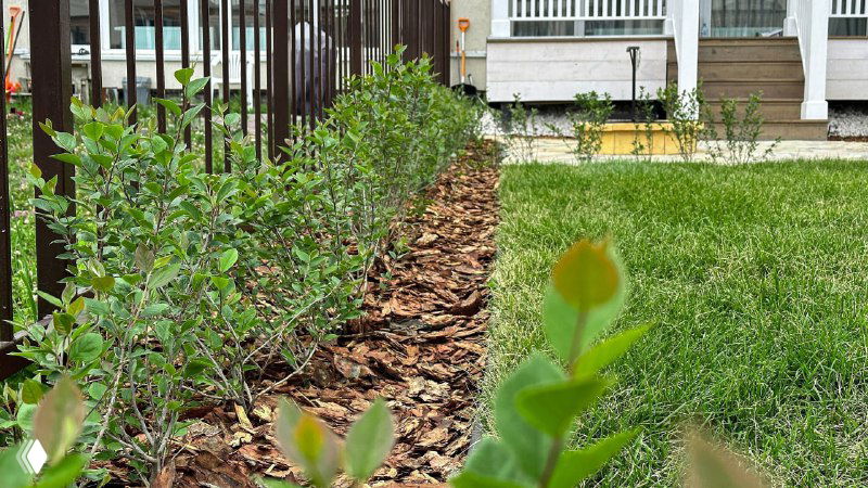 Рулонный газон: 5 мифов, в которые поверили