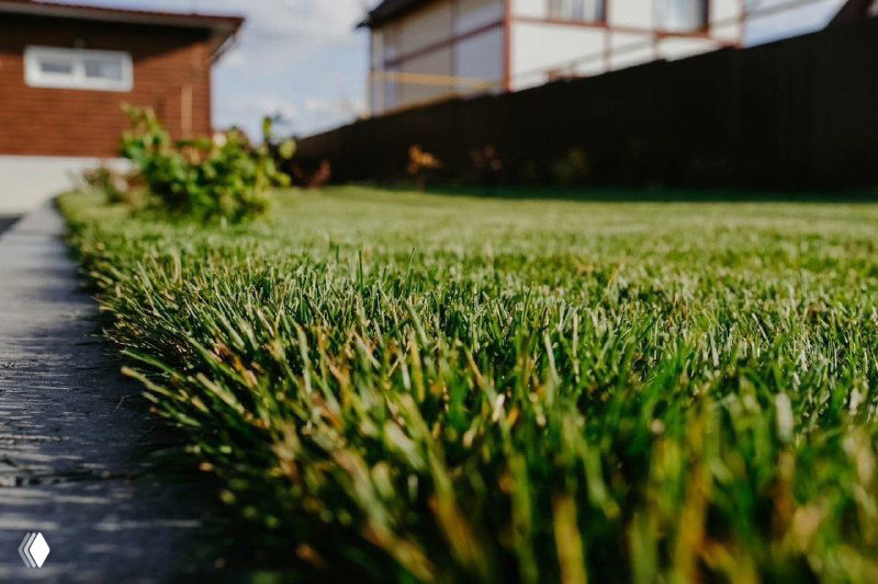 Пыль, грязь и пустота вокруг дома?