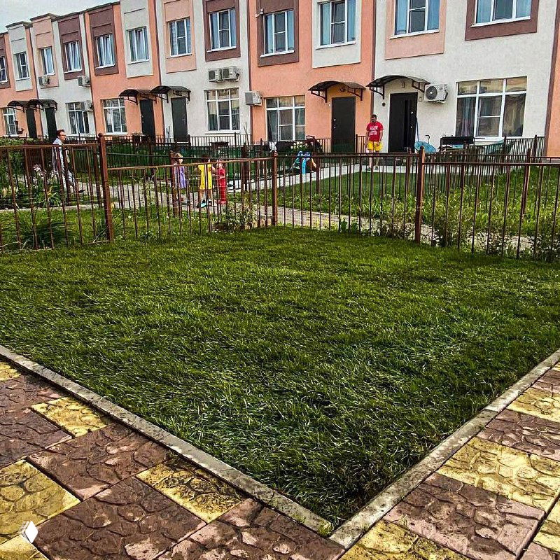 Уложенный рулонный газон на небольшом дворе у жилого дома: ровный зелёный ковёр травы, ограждение и тротуар рядом.