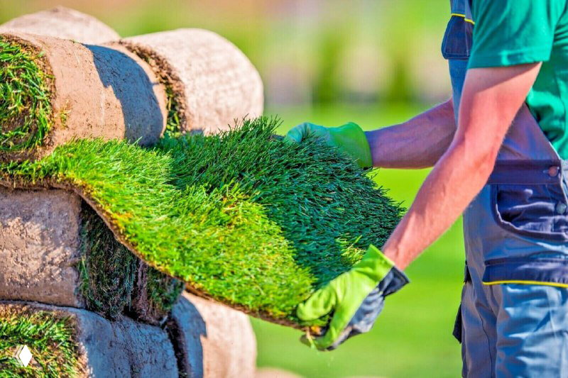 Рабочий разворачивает рулонный газон в перчатках на зелёной лужайке; видно плотную травяную дернину и рулоны на заднем плане.