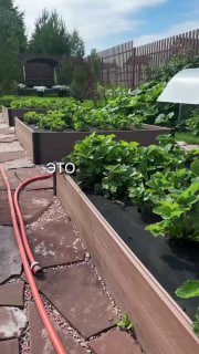 Грядки из ДПК на дачном участке: аккуратные модульные грядки с зелёной растительностью, шланг на дорожке и забор на заднем плане.