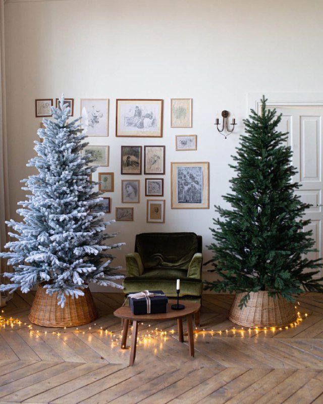 Два искусственных ёлочных образца — пушистая заснеженная и зелёная модель, выставленные в интерьере гостиной с декором.