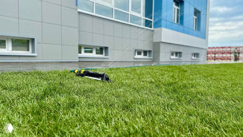 Рулонный газон возле современного здания: плотный зелёный газон после укладки, видны участки на краю и рабочий полив.