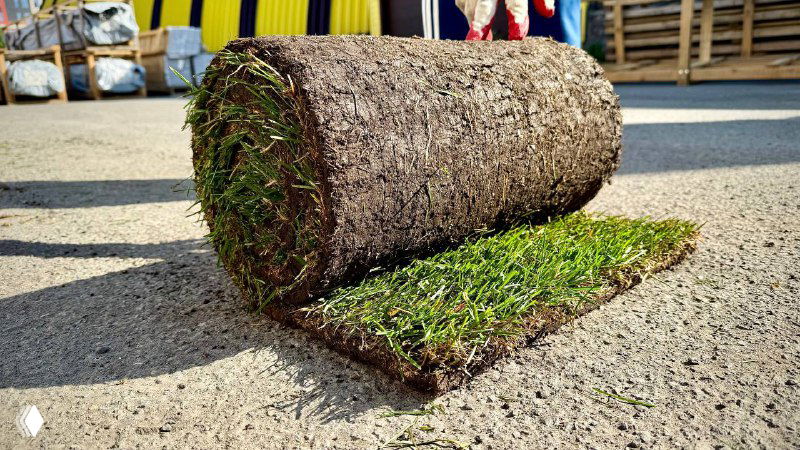 Рулон газона частично развернут на бетонной поверхности: видно верхний зелёный слой и нижний грунтовый слой, готовый к укладке на участок.