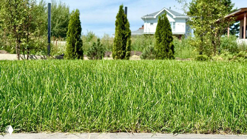 225 квадратов тишины и свежести