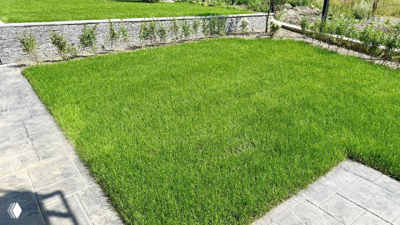 Ровный зелёный участок с рулонным газоном, прямоугольная лужайка рядом с мощёной дорожкой и тенью от строения на краю.