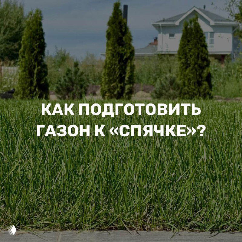 Подготовка газона к «спячке» осенью