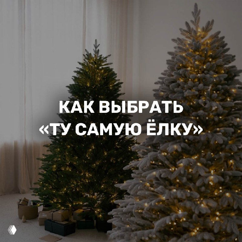 Как выбрать “ту самую” ёлку?