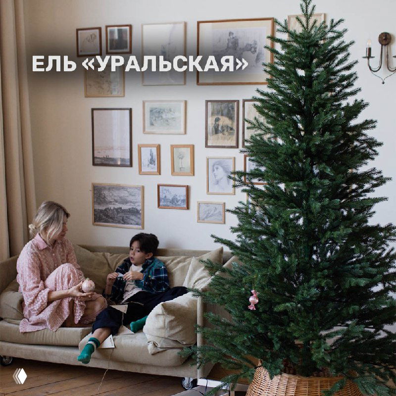 Высокая искусственная ель модели «Уральская» в светлой гостиной рядом с диваном и семейным интерьером, натуральный тёмно‑зелёный оттенок.